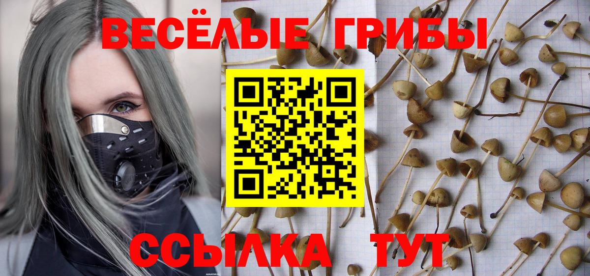 Псилоцибиновые грибы GOLDEN TEACHER Дубна